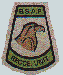 BSAP Arm Patch