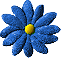 Blue flower