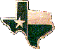 Texas shaped medal