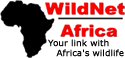 Wildnet Africa